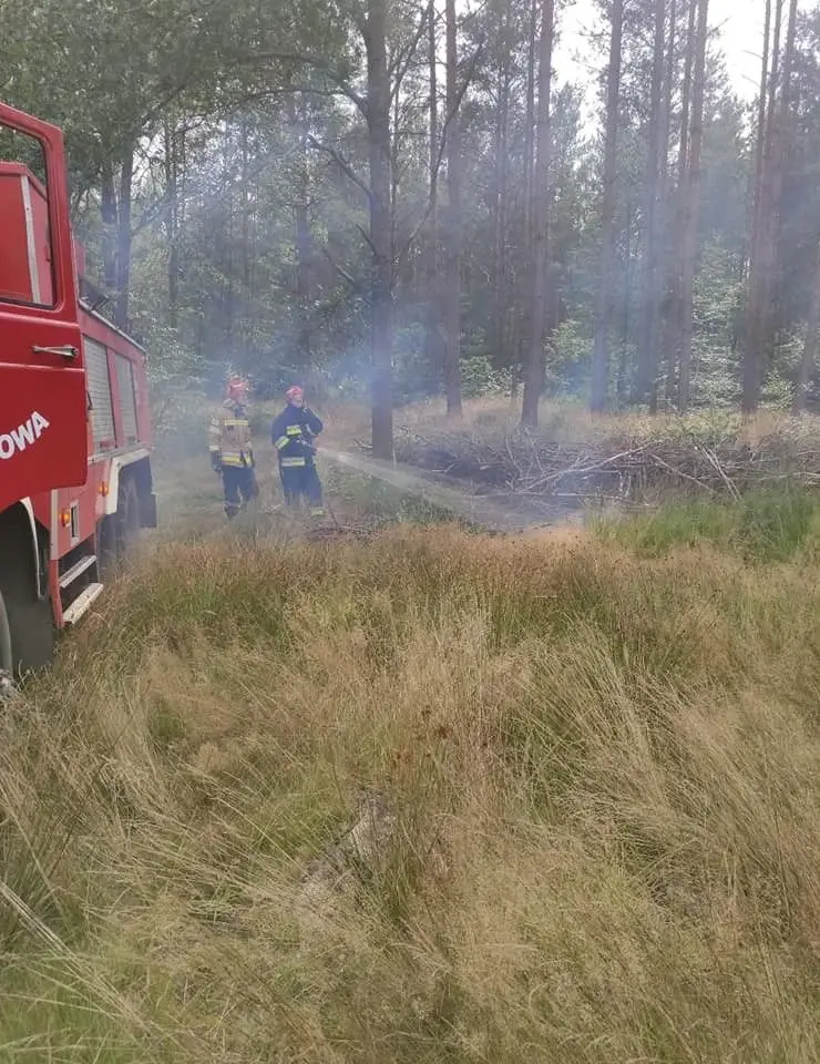 Akcja straży pożarnej w miejscowości Motyle