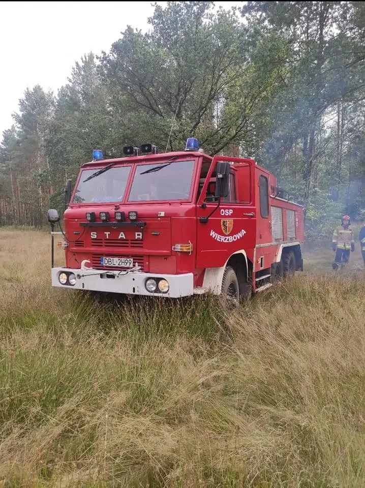 Akcja straży pożarnej w miejscowości Motyle