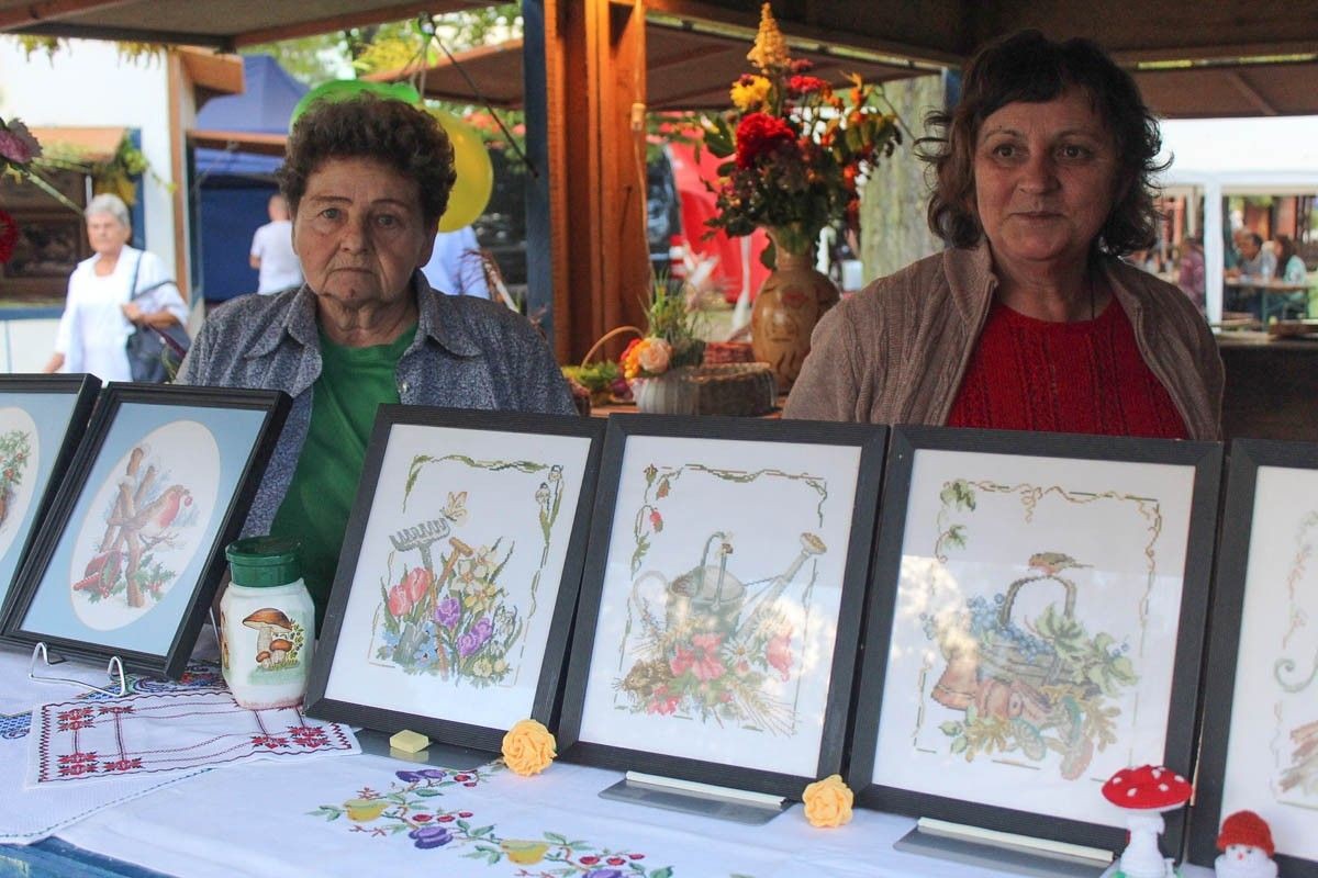 Fotorelacja z Miejskiego Dnia Działkowca (Dni Bolesławca 2022)