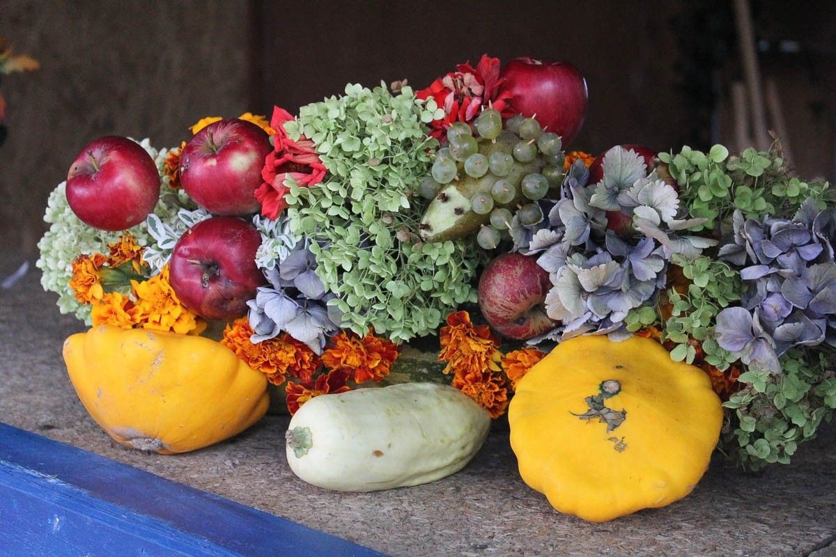 Fotorelacja z Miejskiego Dnia Działkowca (Dni Bolesławca 2022)