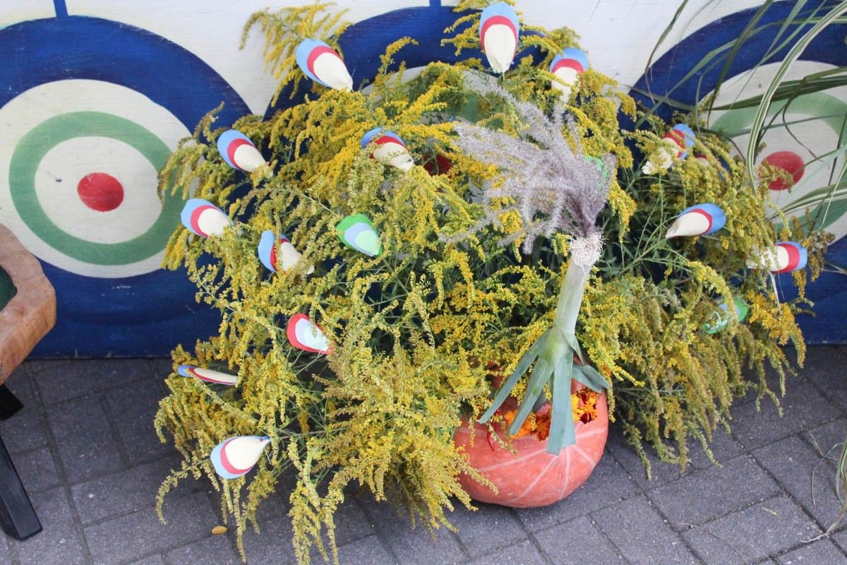 Fotorelacja z Miejskiego Dnia Działkowca (Dni Bolesławca 2022)