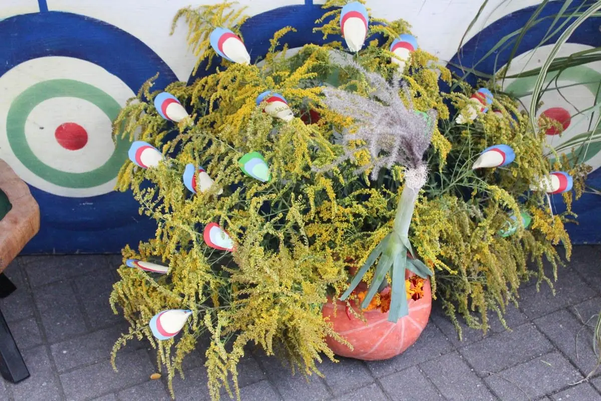 Fotorelacja z Miejskiego Dnia Działkowca (Dni Bolesławca 2022)