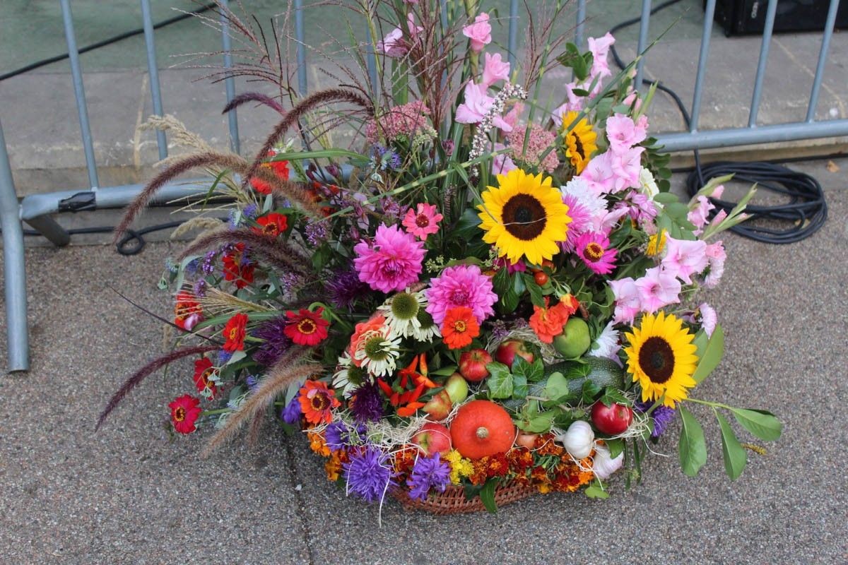 Fotorelacja z Miejskiego Dnia Działkowca (Dni Bolesławca 2022)