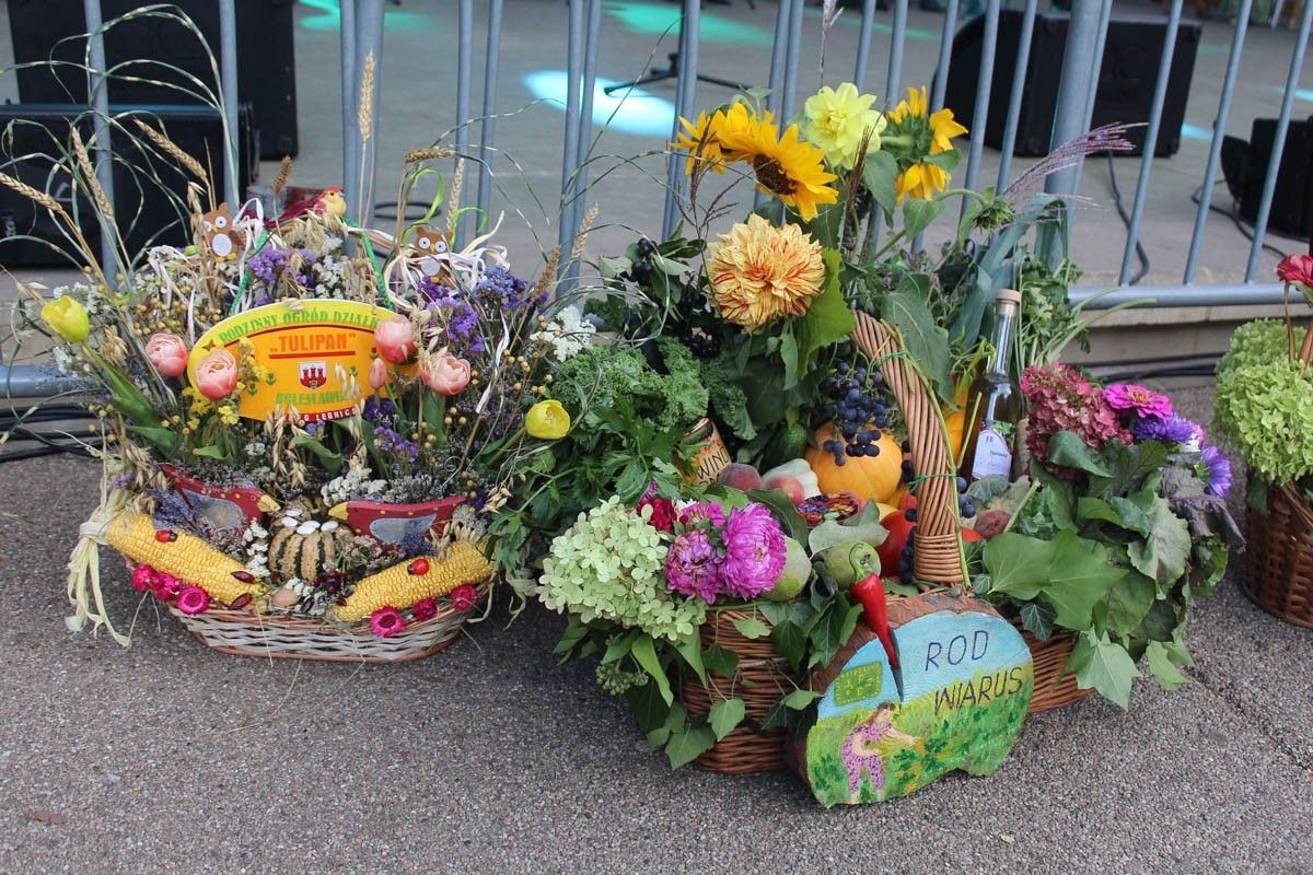 Fotorelacja z Miejskiego Dnia Działkowca (Dni Bolesławca 2022)