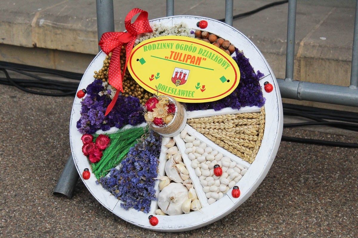 Fotorelacja z Miejskiego Dnia Działkowca (Dni Bolesławca 2022)