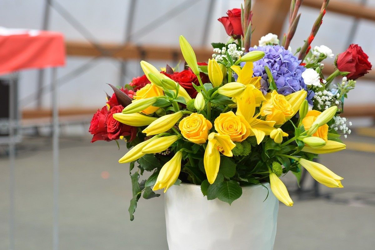 Dzień Osadnika w Bolesławcu