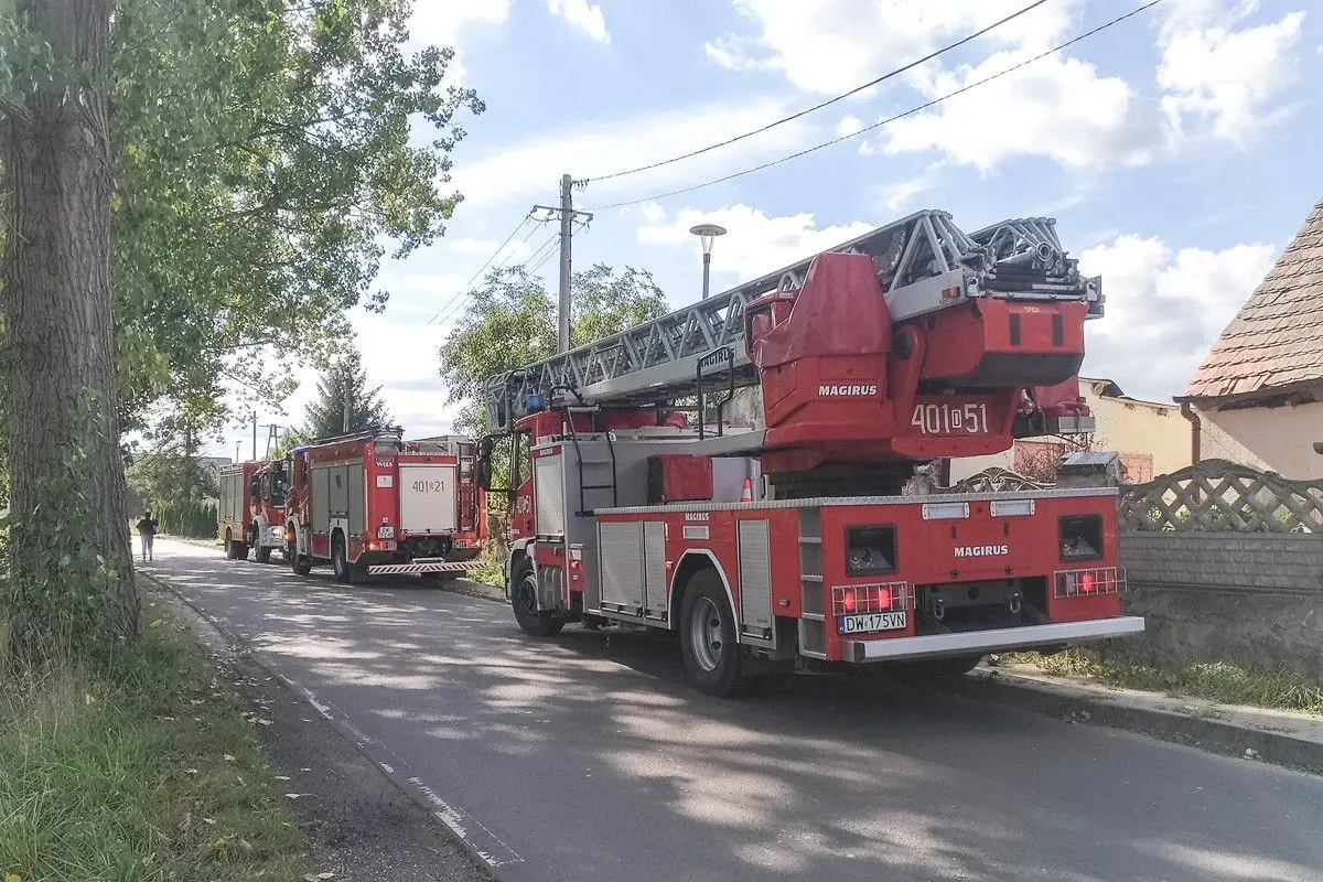 Działania służb w Tomaszowie Bolesławieckim
