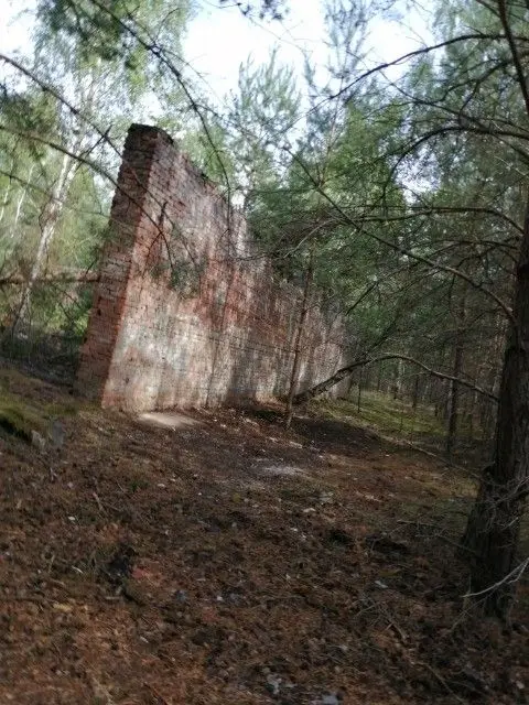 Śmieci
