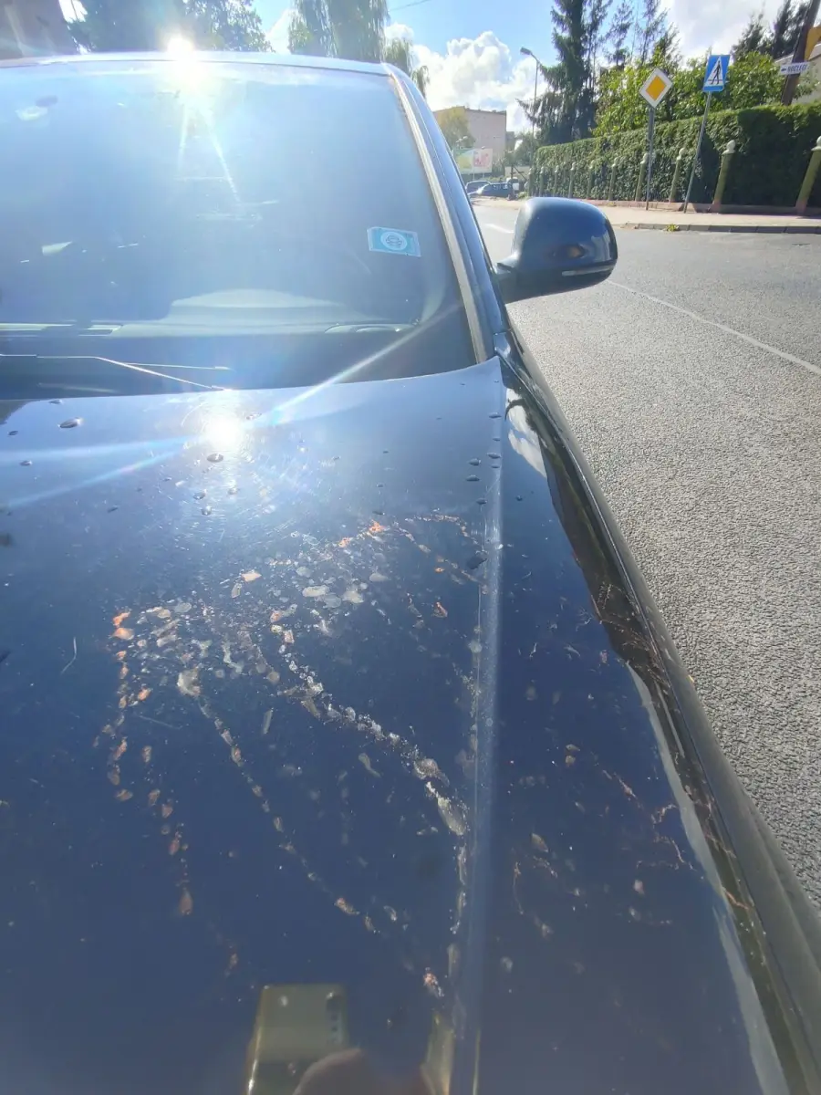 Zniszczone auto w centrum Nowogrodźca. Prośba o pomoc w ustaleniu sprawcy