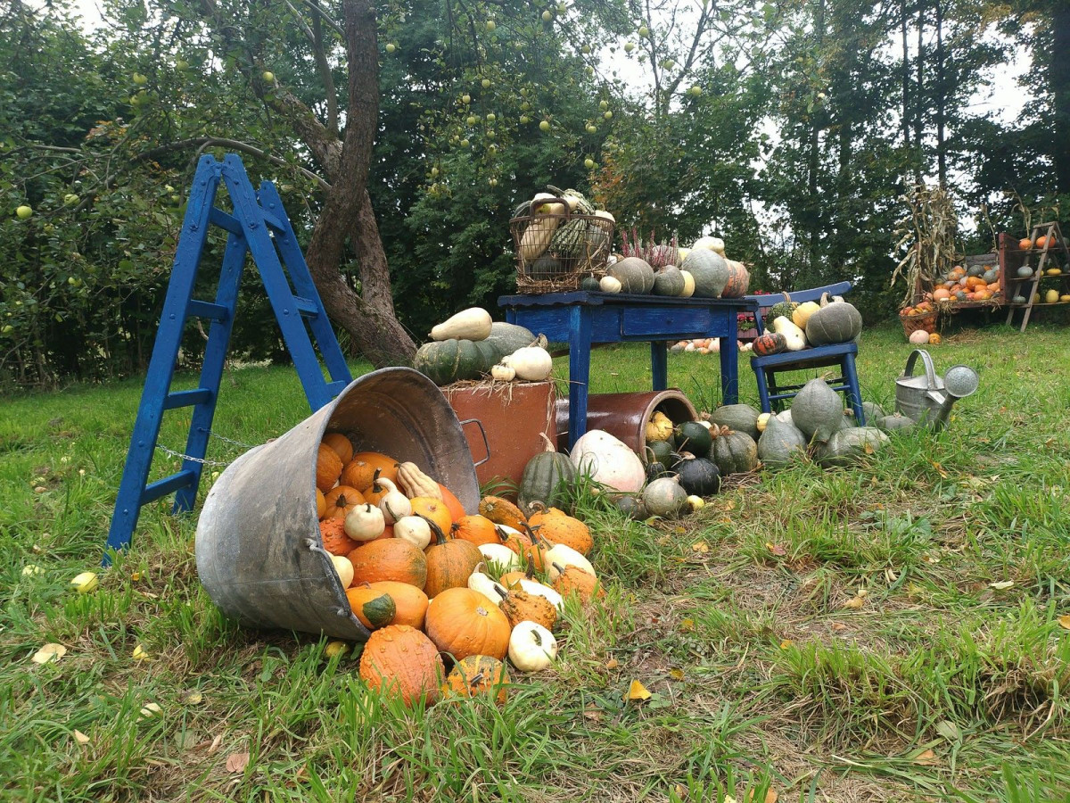 Dyniowy Kącik przy Wiedźmie w Raciborowicach