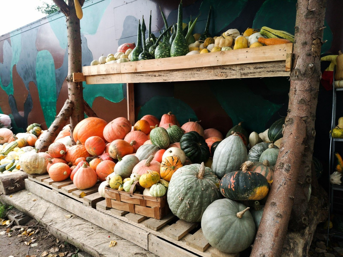 Dyniowy Kącik przy Wiedźmie w Raciborowicach