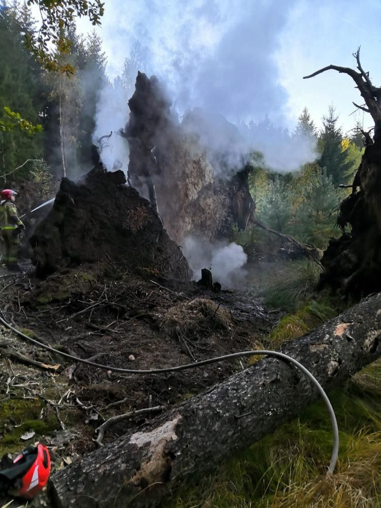 Akcja straży pożarnej na terenie Leśnictwa Bolesławiec