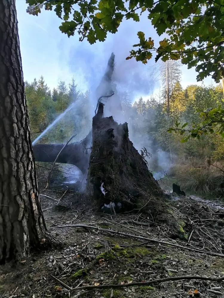 Akcja straży pożarnej na terenie Leśnictwa Bolesławiec