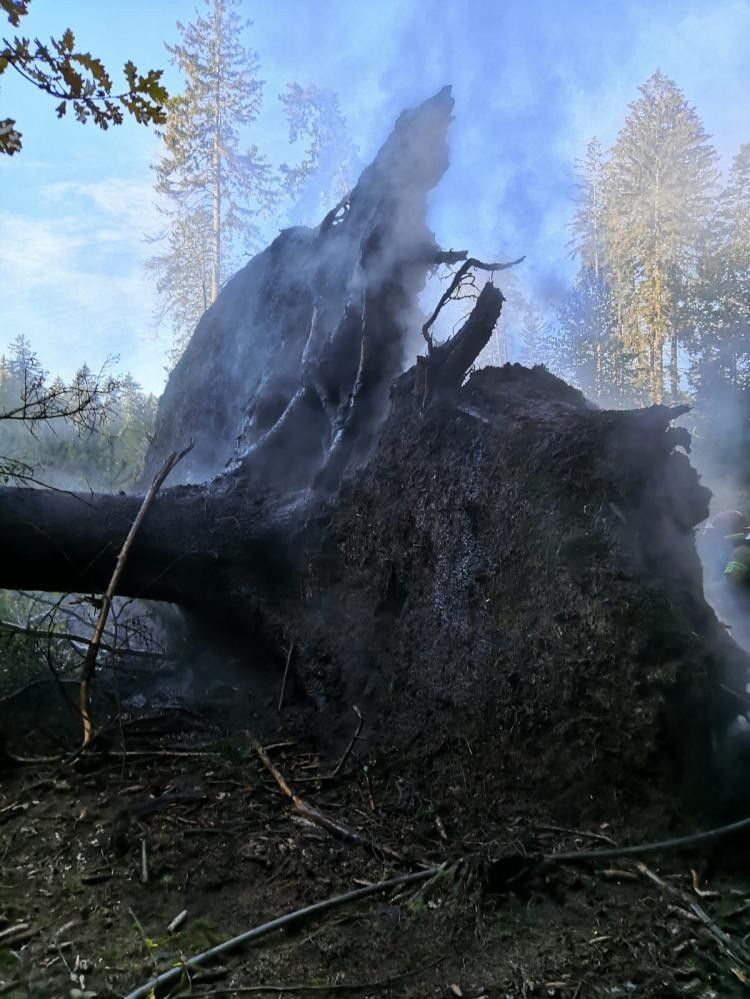 Akcja straży pożarnej na terenie Leśnictwa Bolesławiec