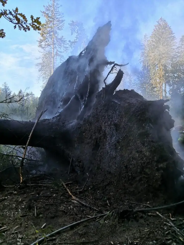Akcja straży pożarnej na terenie Leśnictwa Bolesławiec