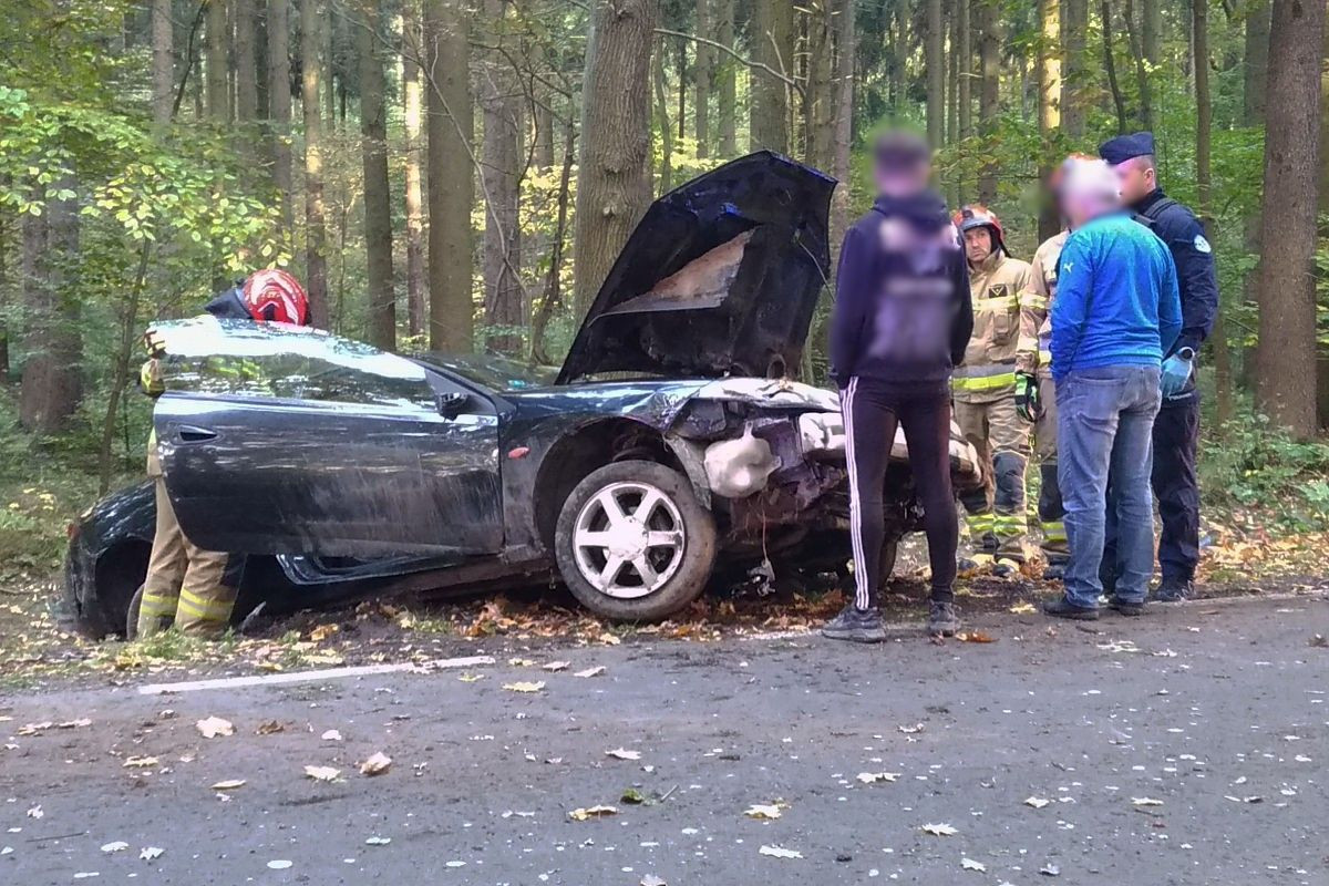 Auto wypadło z drogi koło Wartowic