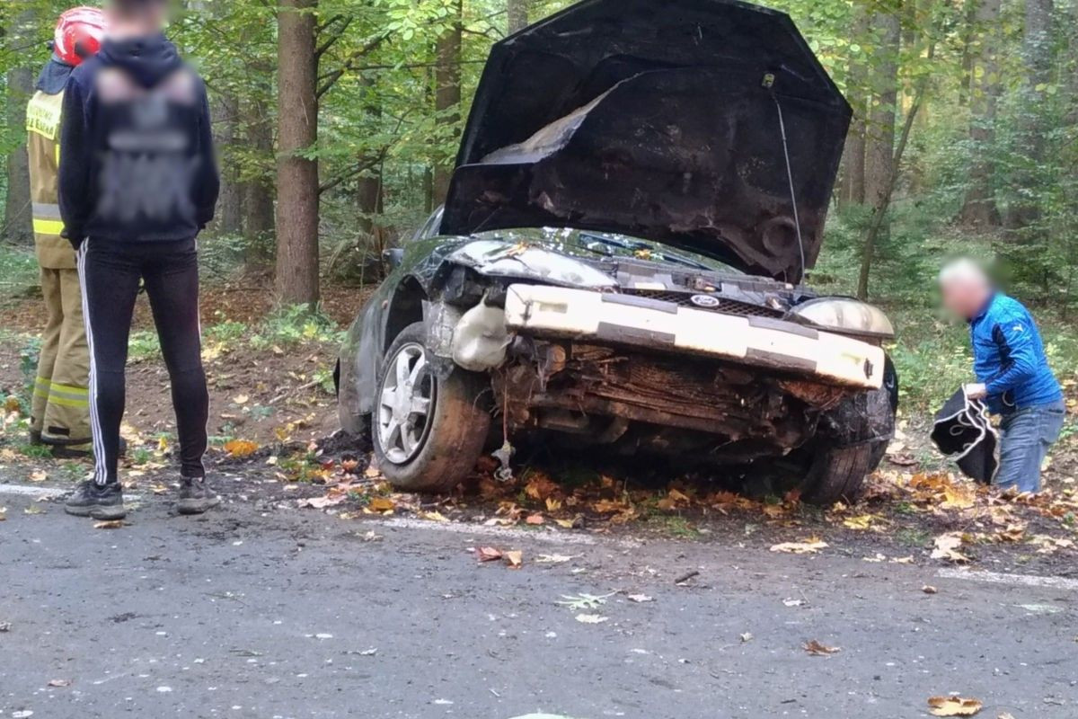 Auto wypadło z drogi koło Wartowic