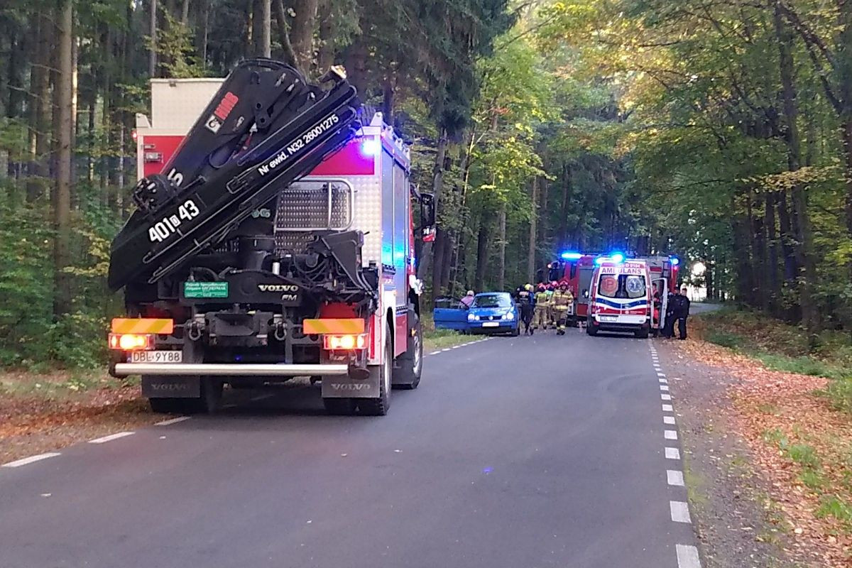 Auto wypadło z drogi koło Wartowic