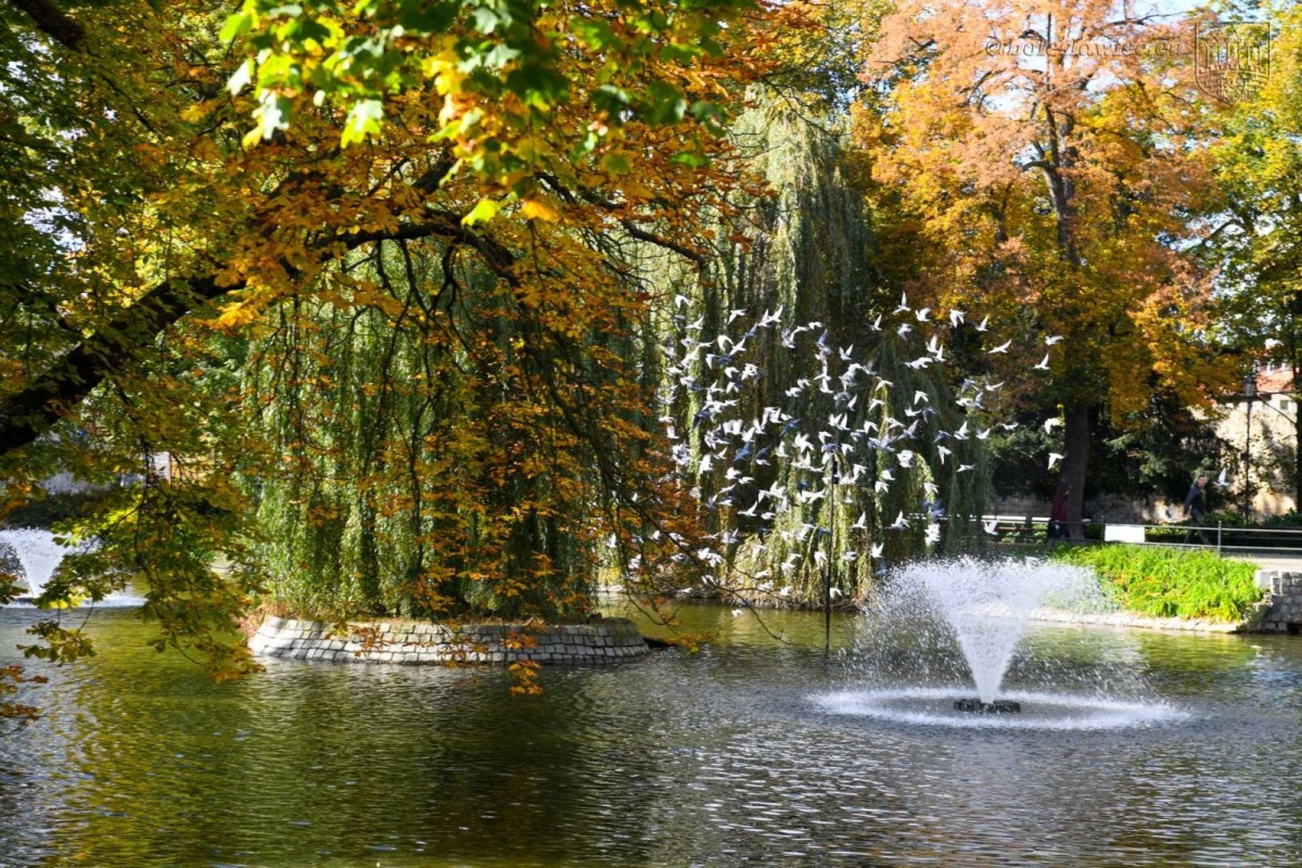 Piękna złota jesień w Bolesławcu