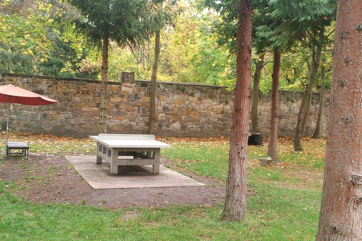 Świetlica i jej otoczenie w szpitalu wojewódzkim