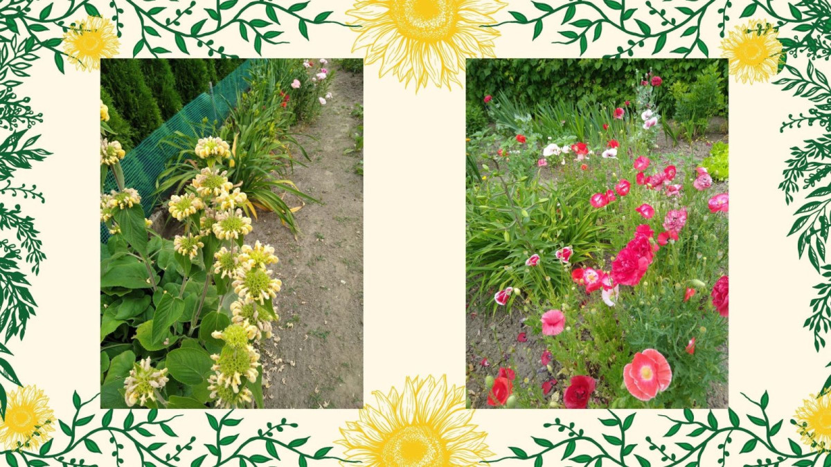 Wyniki konkursu „Bolesławiec w kwiatach” – prezentacja