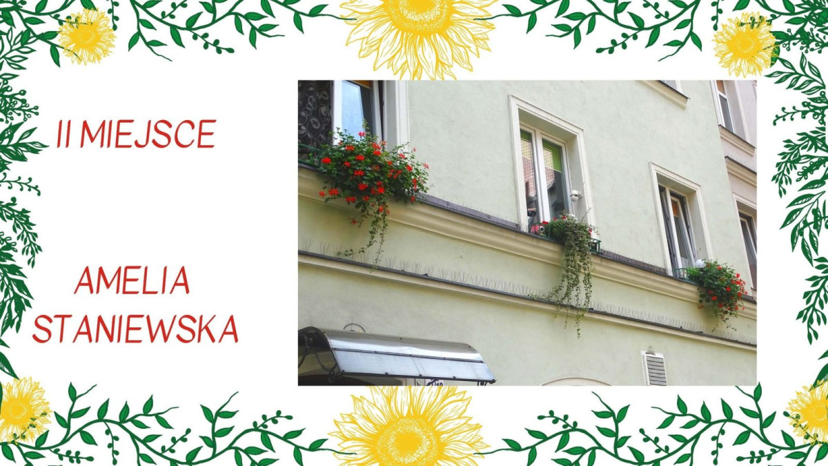 Wyniki konkursu „Bolesławiec w kwiatach” – prezentacja