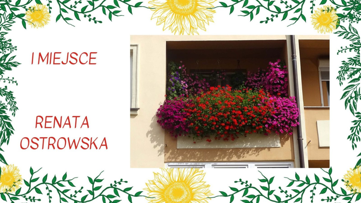 Wyniki konkursu „Bolesławiec w kwiatach” – prezentacja