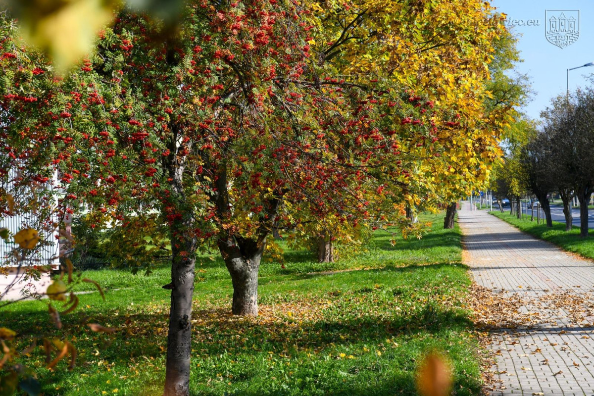 Jesienny spacer po Bolesławcu