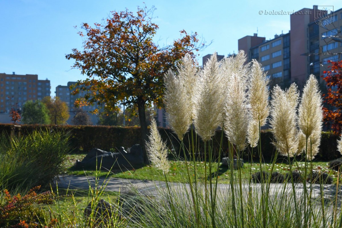 Jesienny spacer po Bolesławcu
