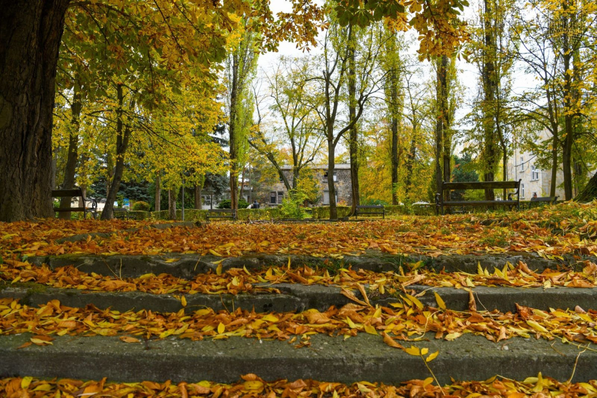 Jesienny spacer po Bolesławcu