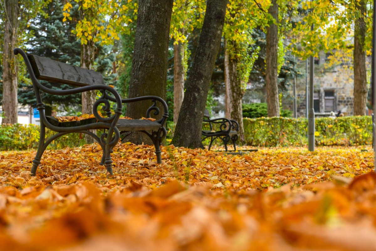Jesienny spacer po Bolesławcu