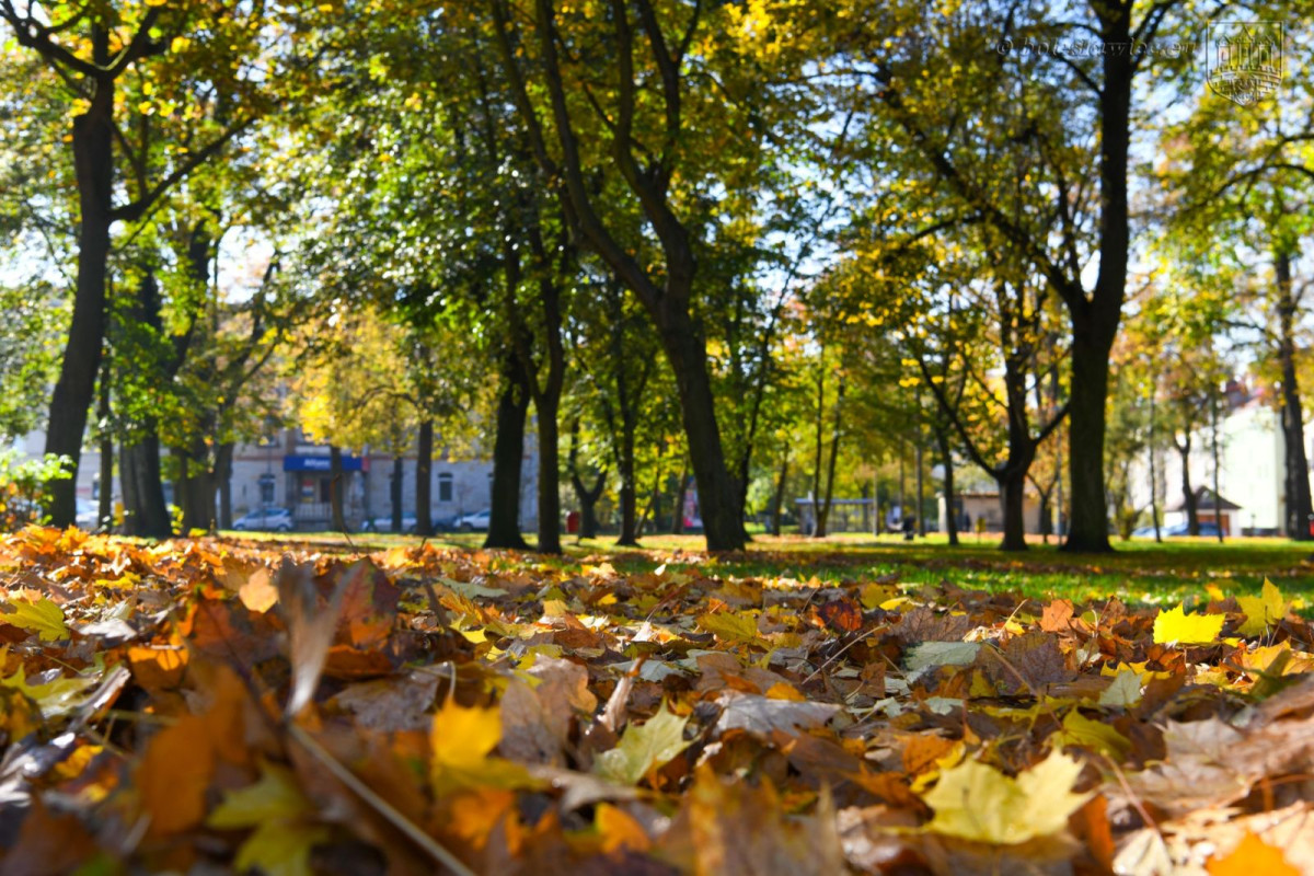 Jesienny spacer po Bolesławcu
