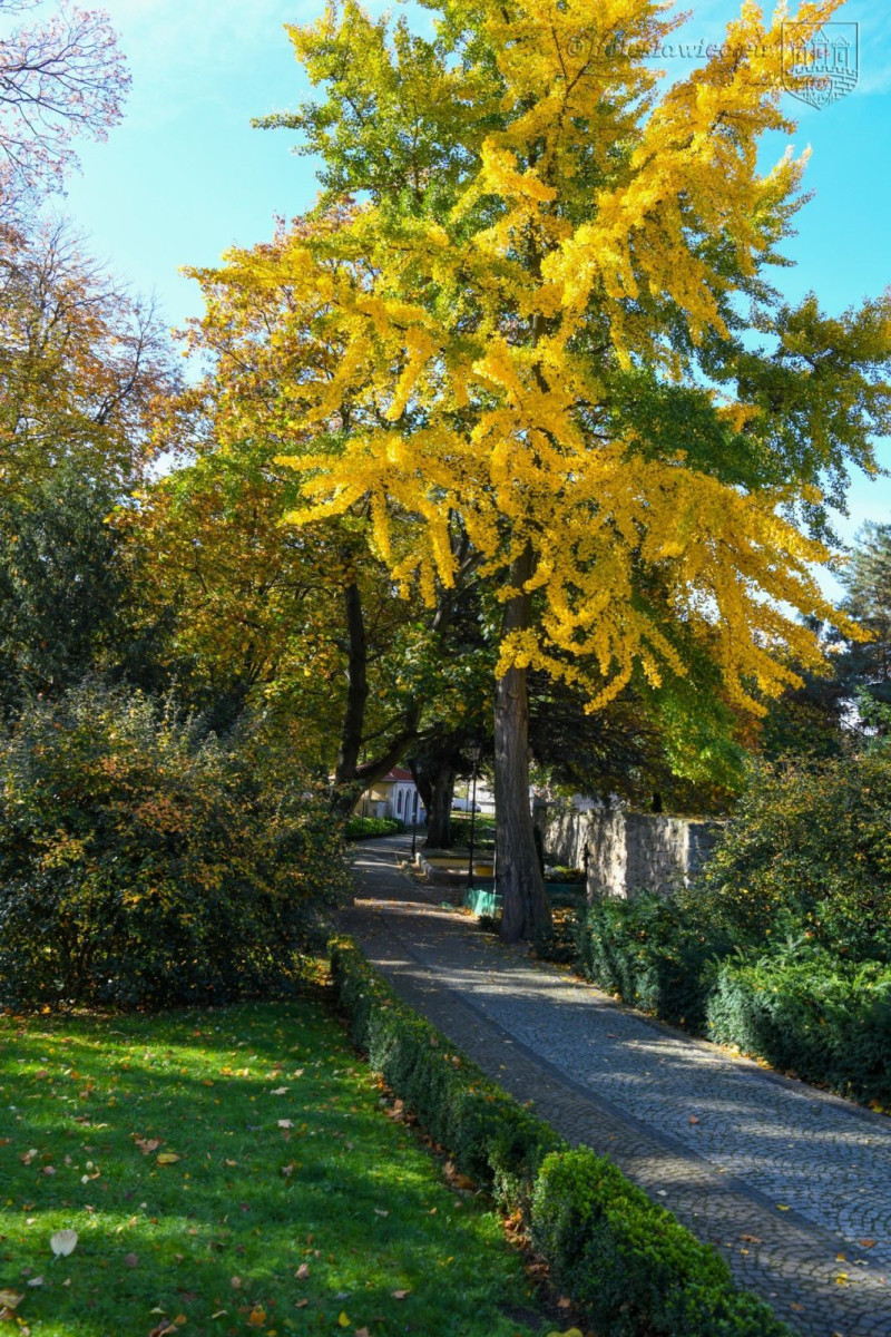 Jesienny spacer po Bolesławcu