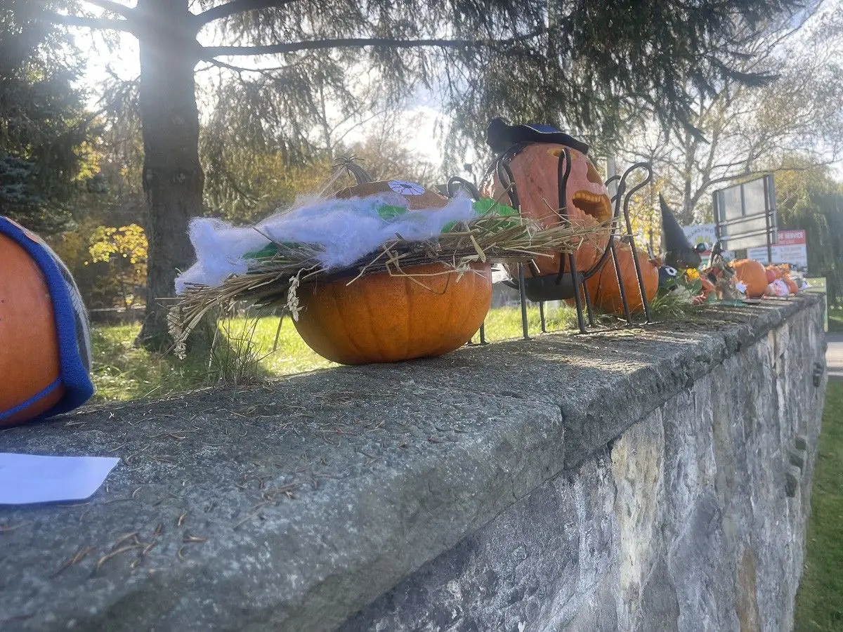Halloweenowa wystawa w Oxpressie