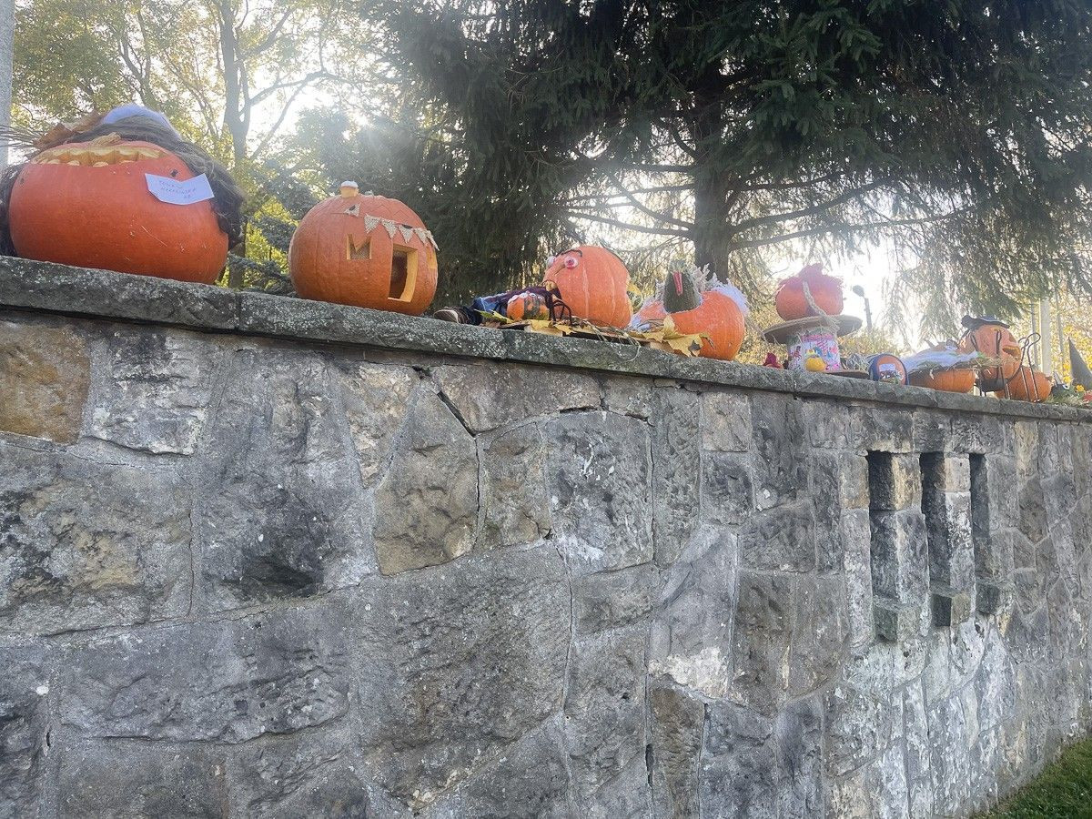 Halloweenowa wystawa w Oxpressie