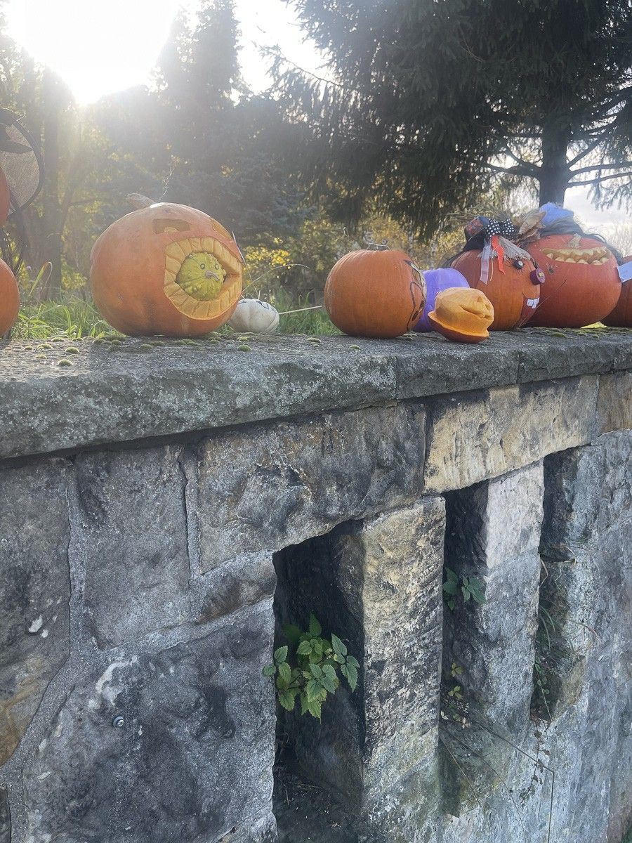 Halloweenowa wystawa w Oxpressie