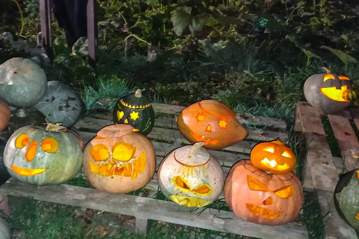 Dyniowy Kącik przy Wiedźmie w Raciborowicach w Halloween