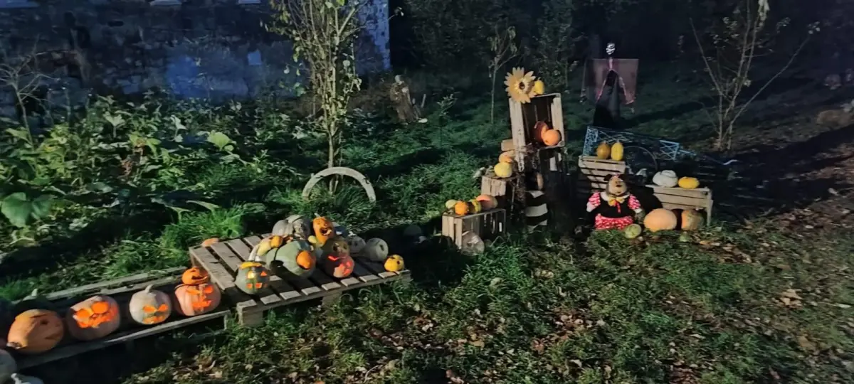 Dyniowy Kącik przy Wiedźmie w Raciborowicach w Halloween