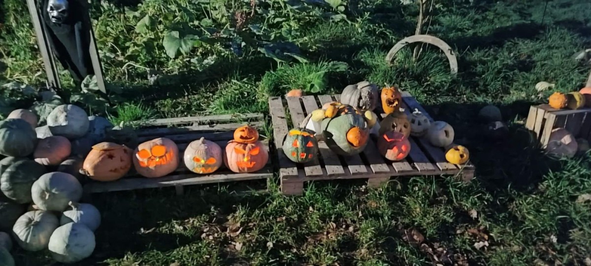 Dyniowy Kącik przy Wiedźmie w Raciborowicach w Halloween