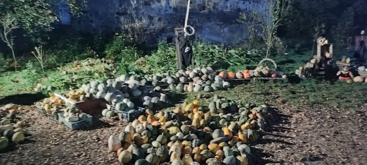 Dyniowy Kącik przy Wiedźmie w Raciborowicach w Halloween