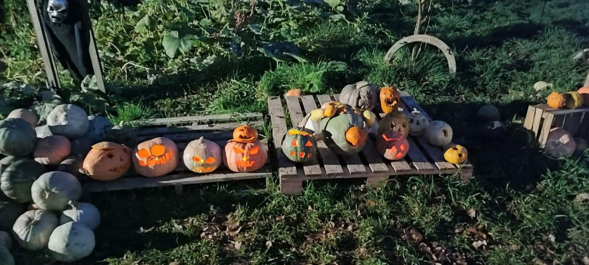 Dyniowy Kącik przy Wiedźmie w Raciborowicach w Halloween