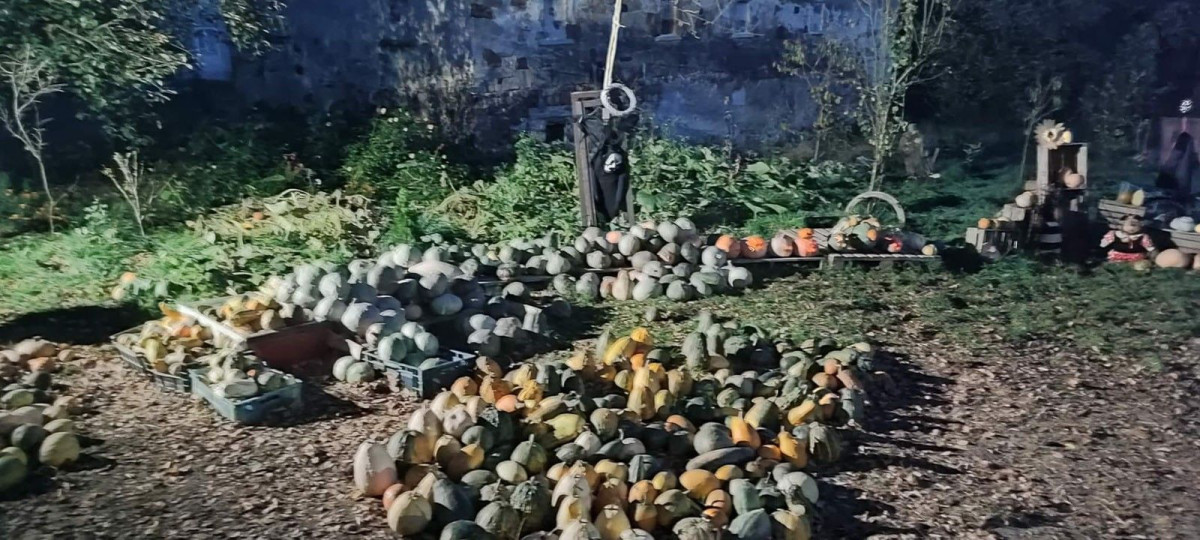 Dyniowy Kącik przy Wiedźmie w Raciborowicach w Halloween