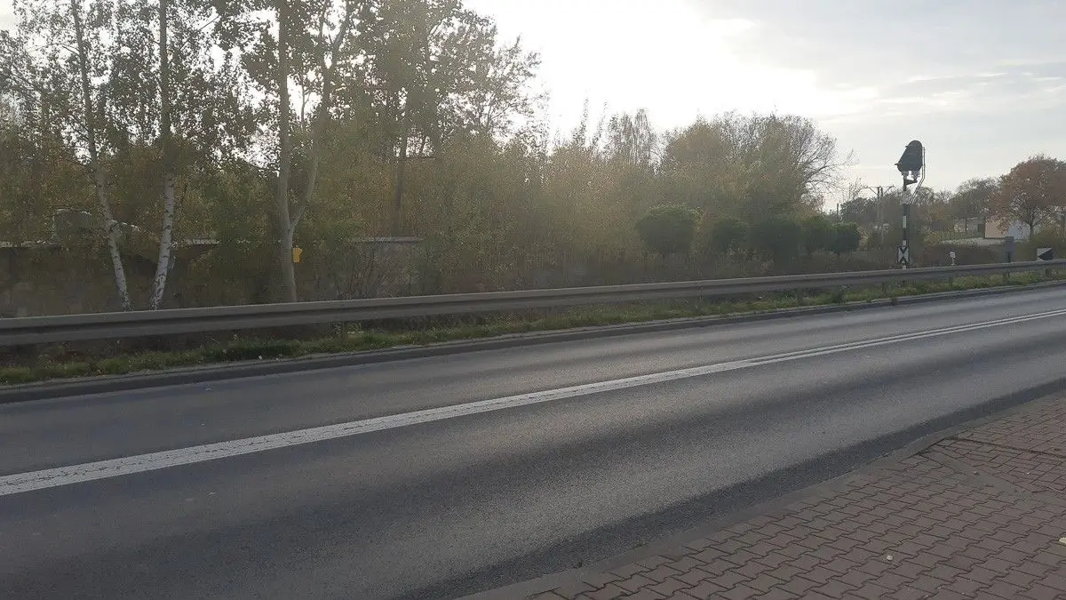 Ptakoradar (?) przy ulicy Cieszkowskiego w Bolesławcu