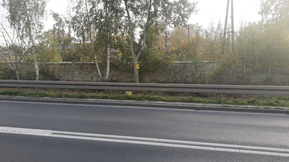 Ptakoradar (?) przy ulicy Cieszkowskiego w Bolesławcu