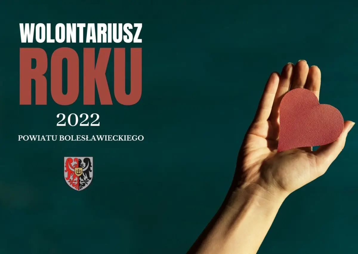 Grafika Wolontariusz Roku