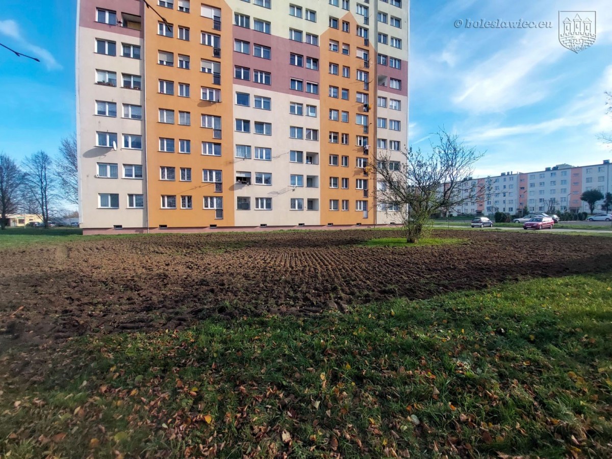 Teren, gdzie powstanie kwietna łąka