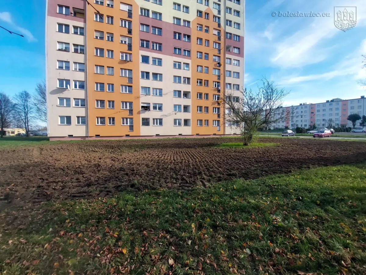 Teren, gdzie powstanie kwietna łąka