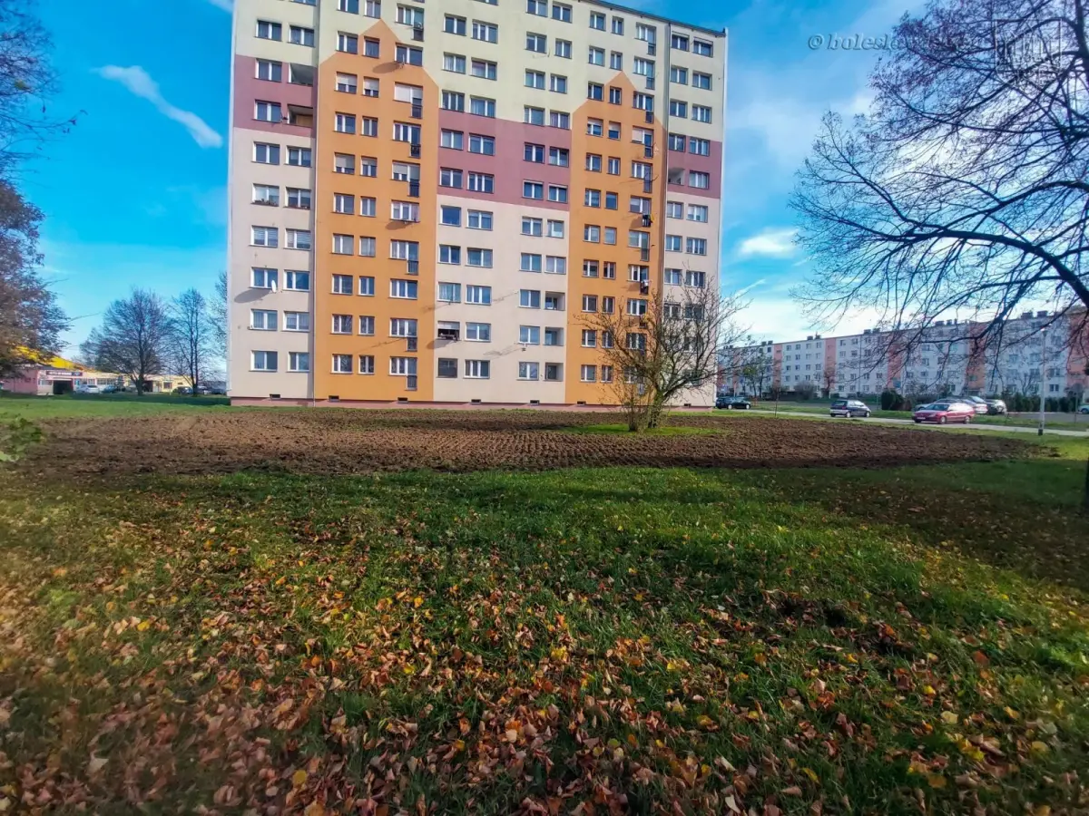 Teren, gdzie powstanie kwietna łąka
