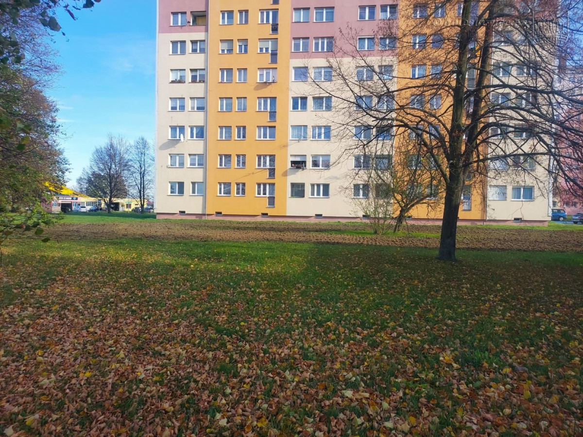 Teren, gdzie powstanie kwietna łąka