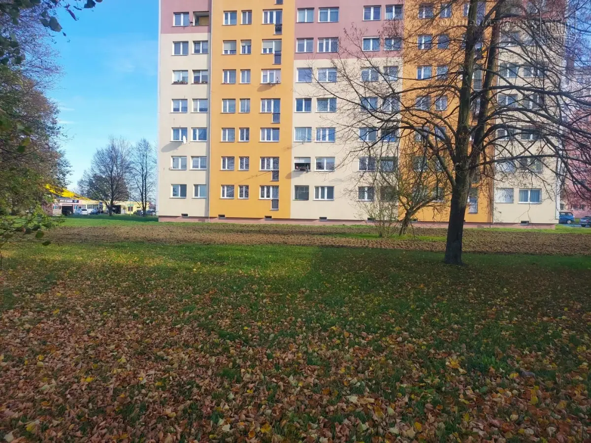 Teren, gdzie powstanie kwietna łąka